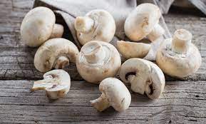 funghi-2.jpg